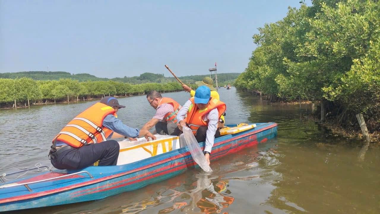 Releasing tiger shrimp and blue crab seedlings, to regenerate aquatic resources in Bau Ca Cai, Quang Ngai province. Van Tuong Commune People's Committee