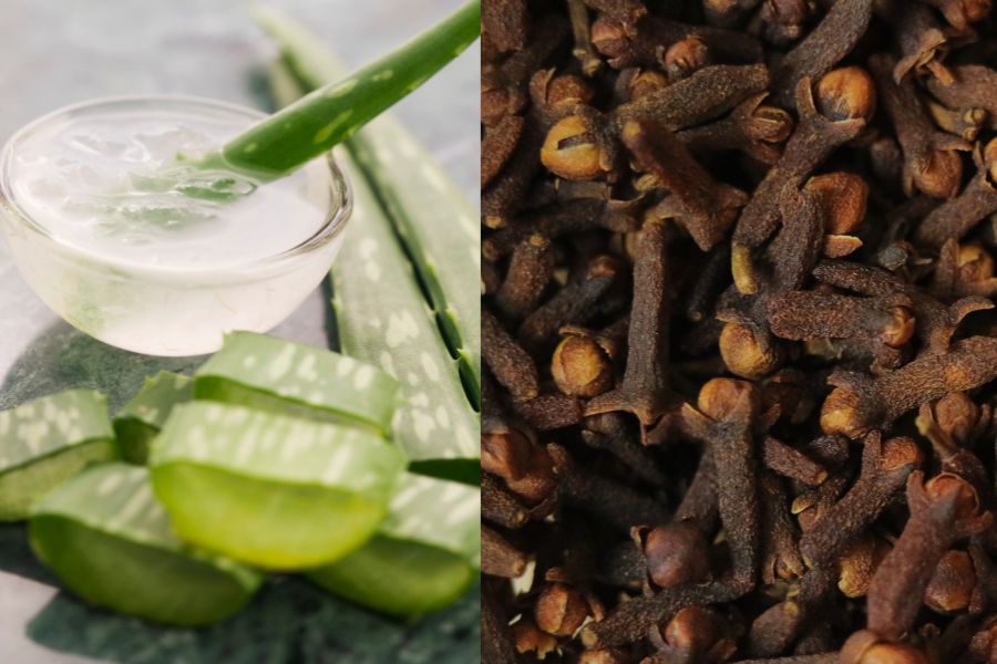 Two familiar herbs to help control uric acid