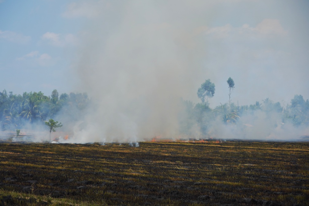 Đốt đồng tràn lan, đe dọa an toàn giao thông và sức khỏe người dân. Ảnh: Tạ Quang