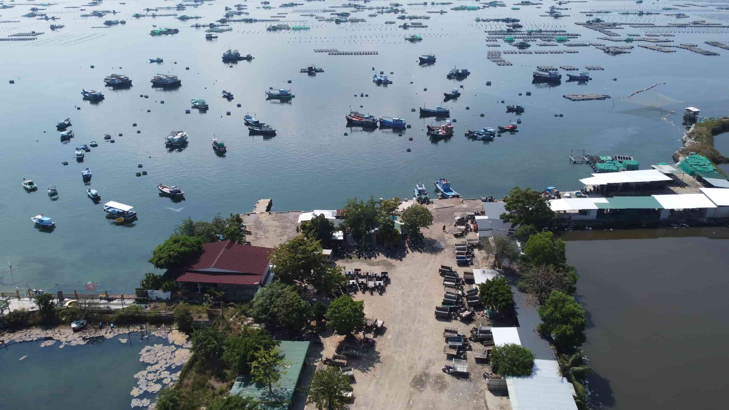 The inter-sectoral delegation has just inspected spontaneous wharves and beaches along Cam Ranh coast that have been operating for 10 years. Photo: Huu Long