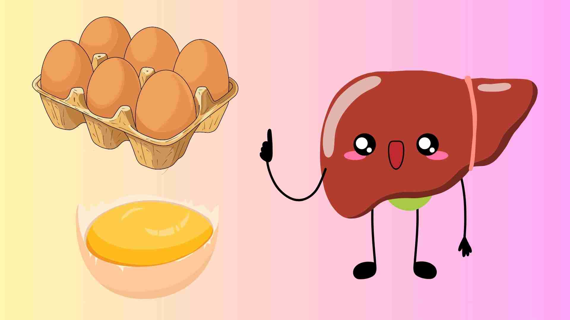 The liver needs to be protected when using chicken eggs properly. Graphics: Huyen Trang