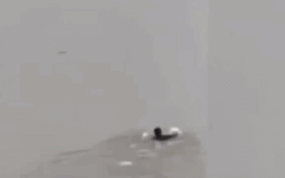 橋から飛び降り自殺した疑いのある女性を探して川に飛び込む男性。写真:ゴック・アイン