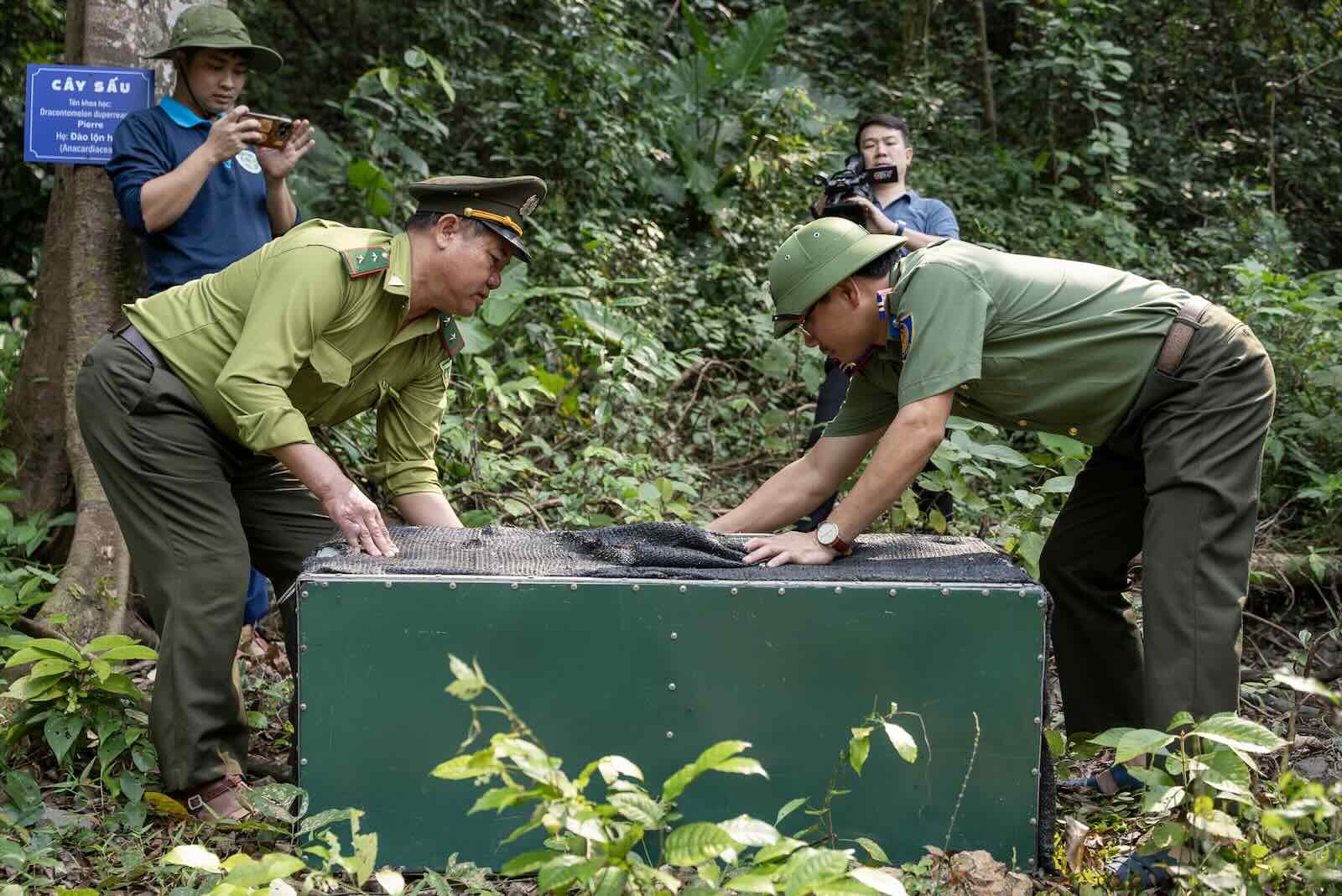 Lực lượng chức năng tái thả động vật hoang dã về rừng. Ảnh: Hang Chỉ Huy