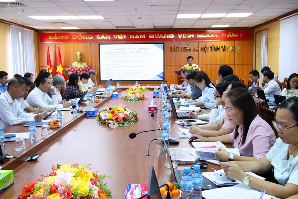 떠이닌은 사회 보험 가입자 개발, 노동자 권익 보장을 위한 다양한 해결책을 시행하고 있습니다. 사진: 떠이닌 사회 보험