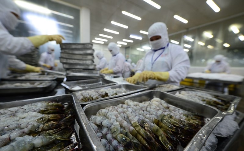 Agricultural, forestry and fishery exports accelerate in the first 3 months of 2026