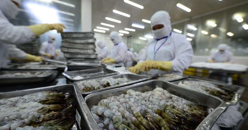 Xuất khẩu nông, lâm, thủy sản tăng tốc trong 3 tháng đầu năm 2026