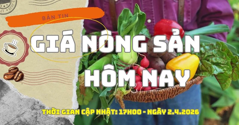 Giá nông sản hôm nay: Cà phê nối dài đà tăng cuối phiên