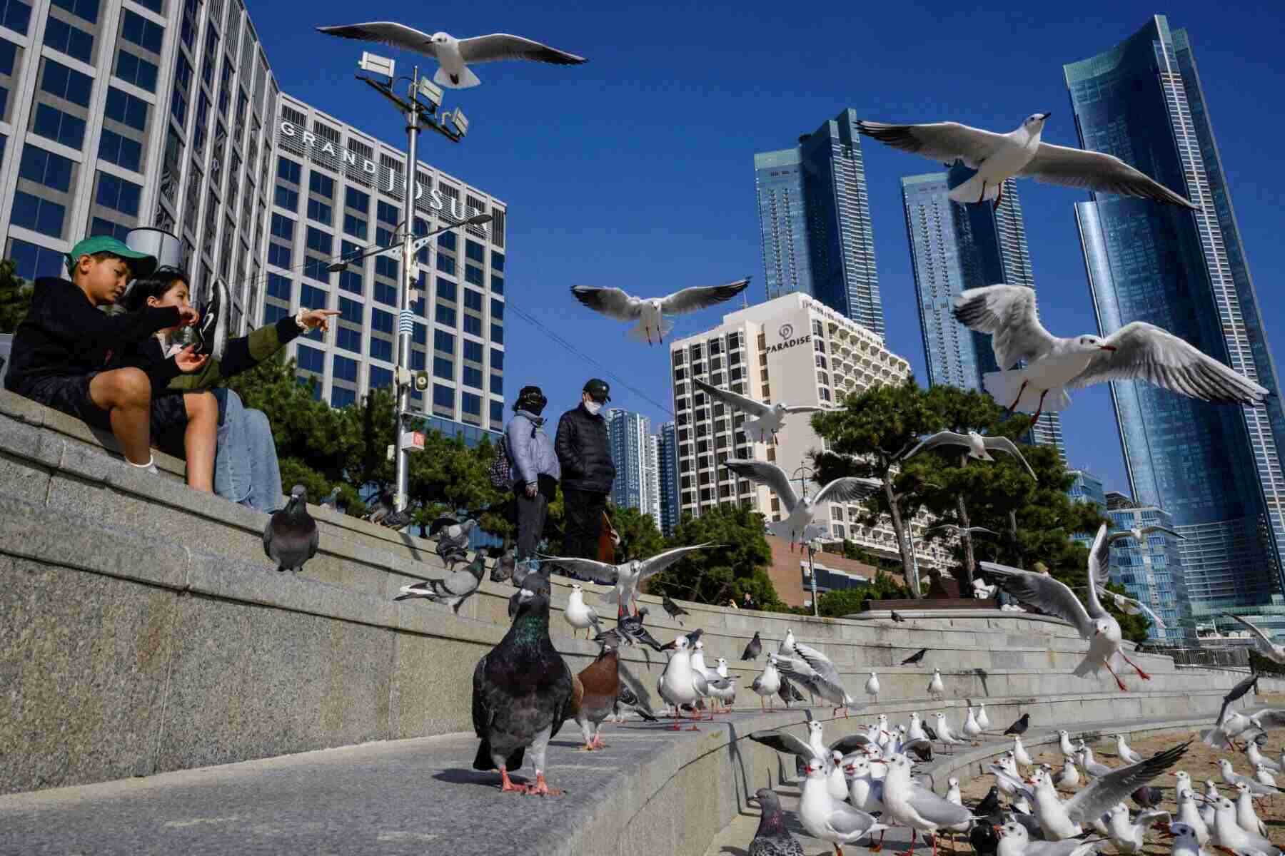 A corner of Busan city, South Korea. Photo: AFP
