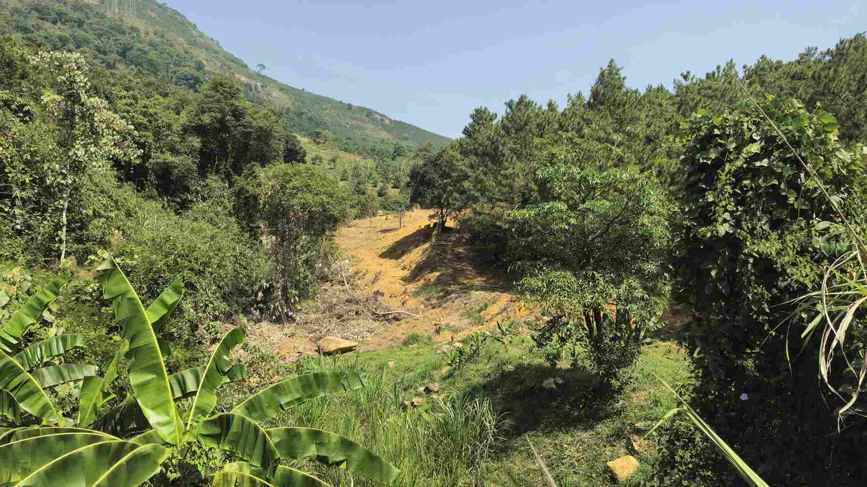 Khu vực suối tự nhiên trên đèo Bảo Lộc bị ảnh hưởng nghiêm trọng bởi hoạt động san gạt. Ảnh: Phúc Khánh 