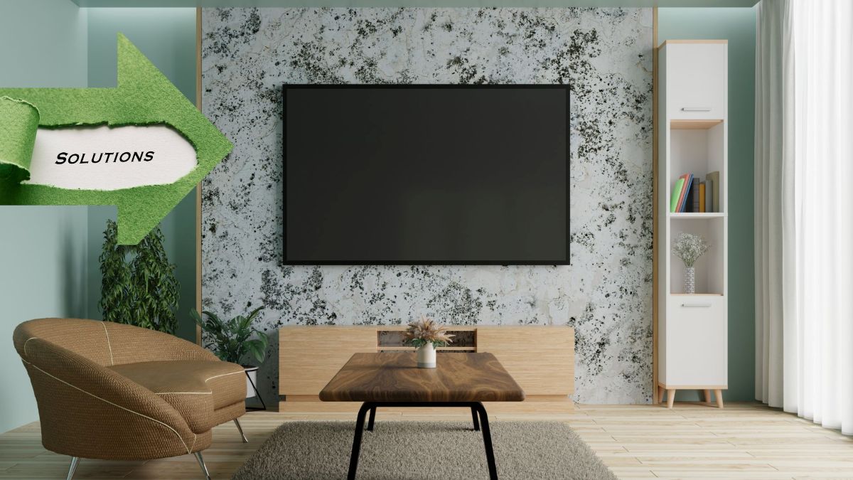 Balanced interior arrangement brings a sense of harmony to the space. Graphics: Thanh Thanh