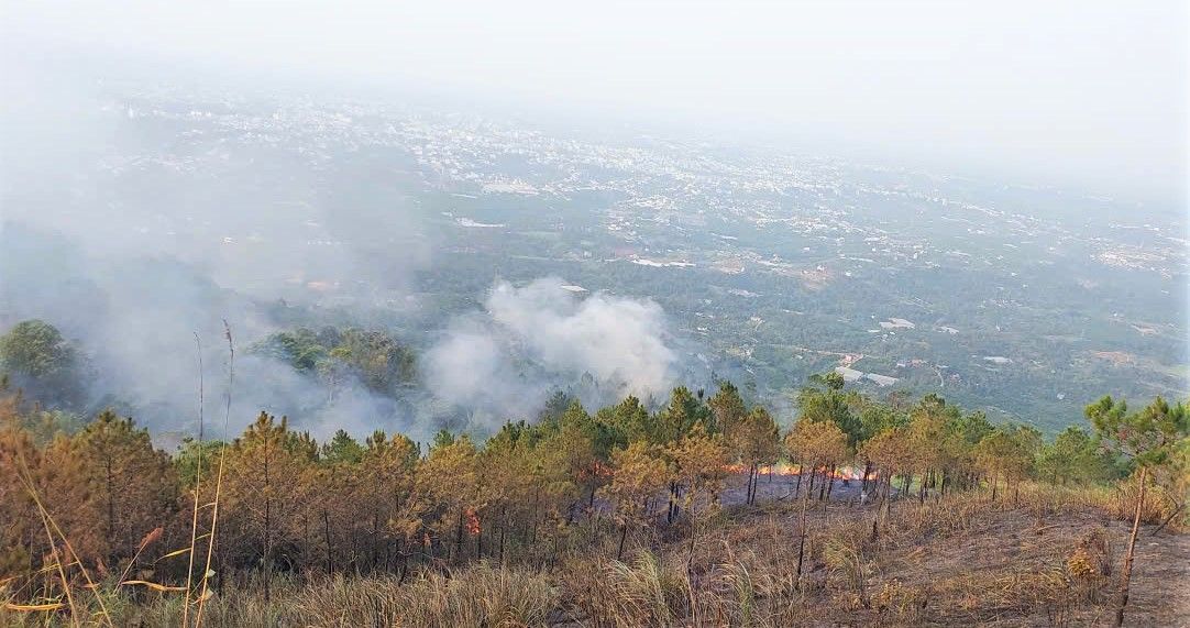 Cháy rừng thông trên núi Đại Bình (Lâm Đồng). Ảnh: Phúc Khánh 