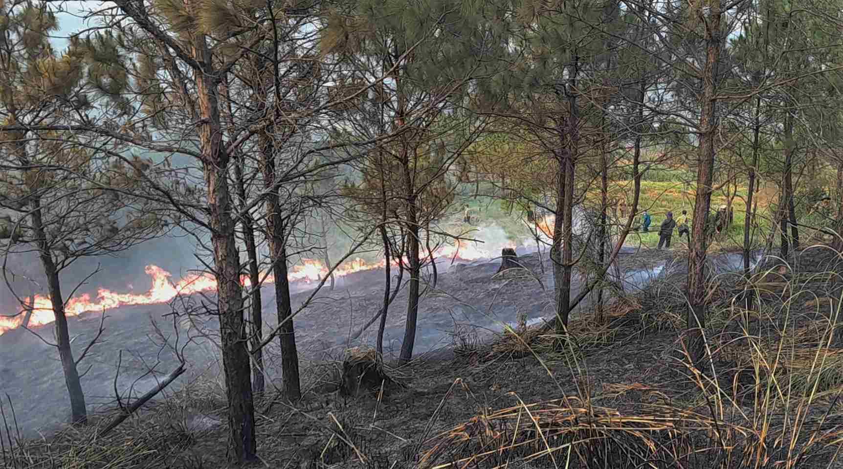 Các lực lượng nỗ lực dập lửa, khống chế đám cháy rừng. Ảnh: Phúc Khánh 