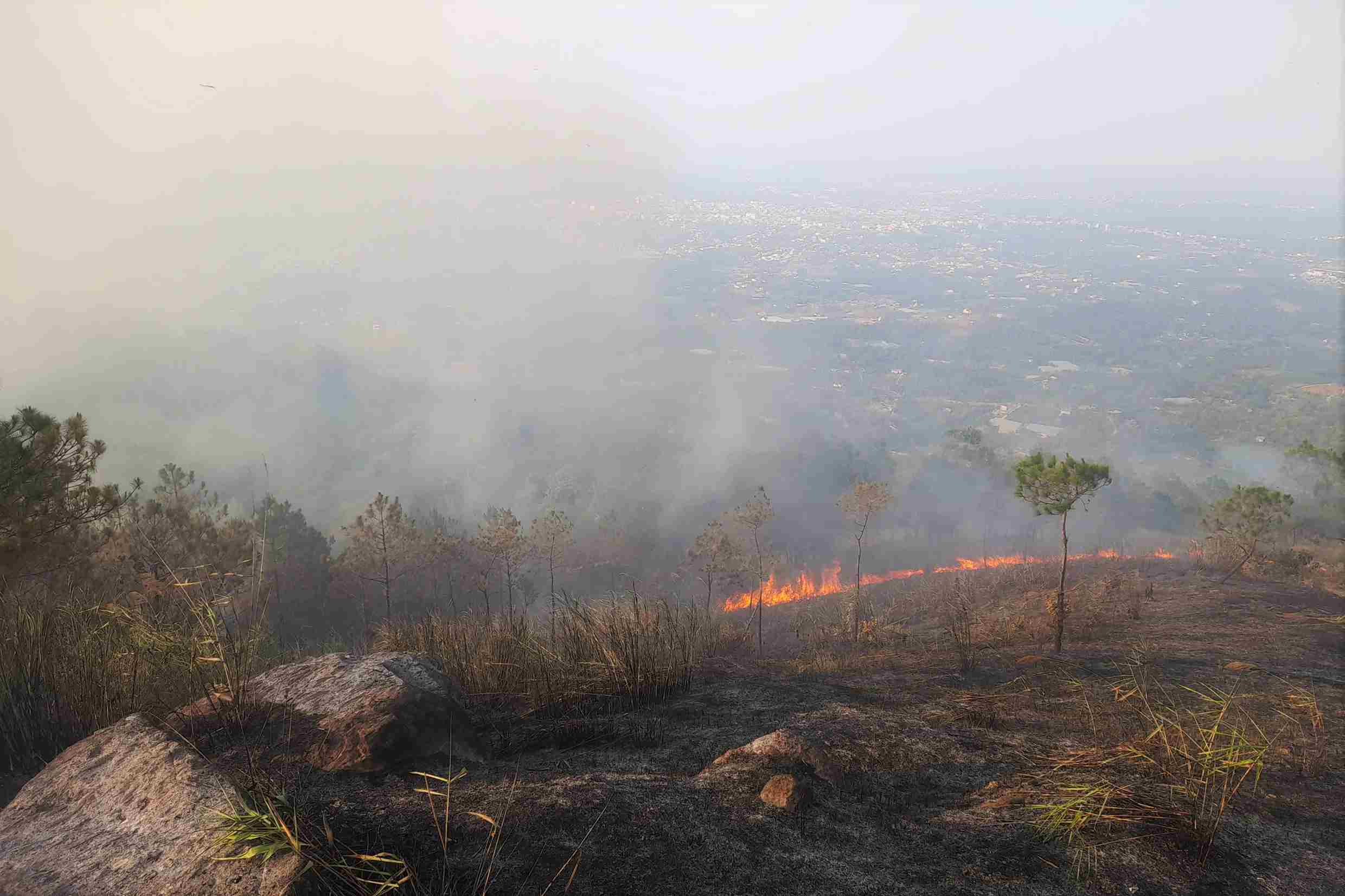 Pine forest fire occurred on Dai Binh mountain in the afternoon of April 2. Photo: Phuc Khanh