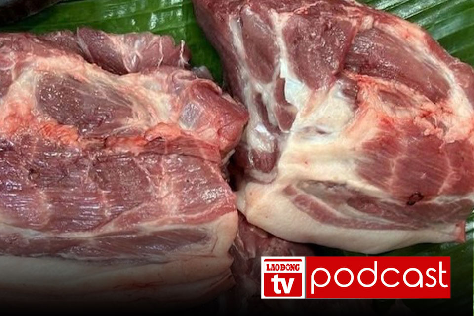 Morning news 3. 4: Hanoi conducts general inspection of slaughterhouses after the case of smuggling sick pigs into schools