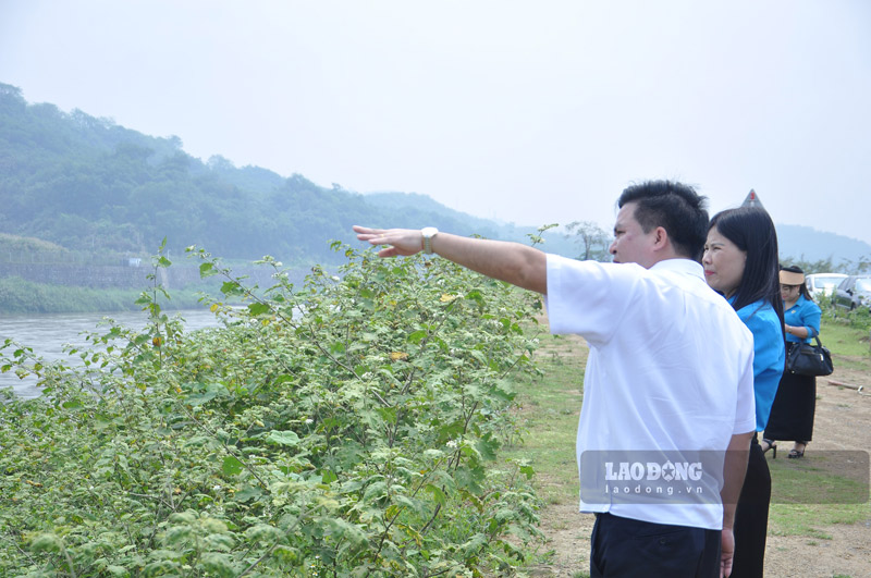 Các đơn vị tham quan cầu biên giới bắc qua sông Hồng tại tỉnh lộ 156. Ảnh: Đinh Đại