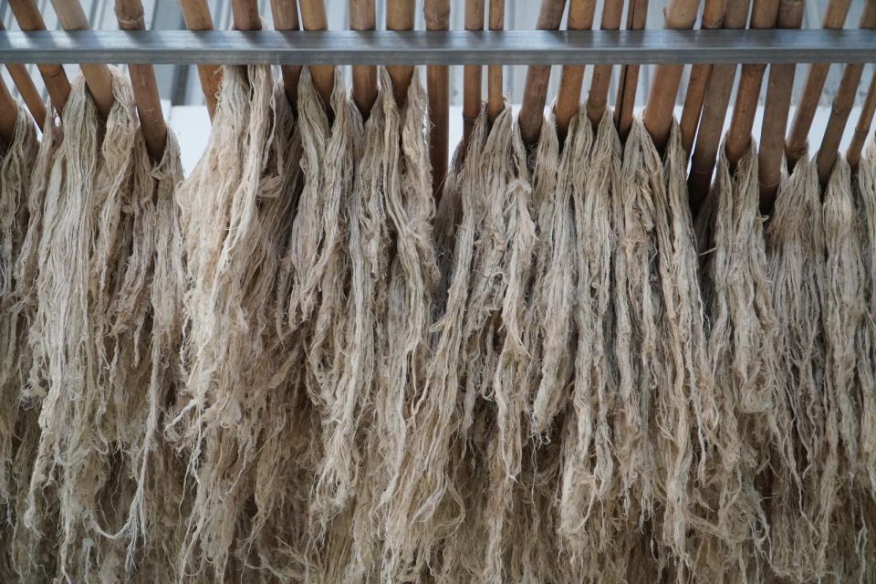 Lá khóm tưởng chừng vô giá trị này đã được “hô biến” thành sợi khóm – loại nguyên liệu xanh cho ngành dệt may. Ảnh: Tạ Quang