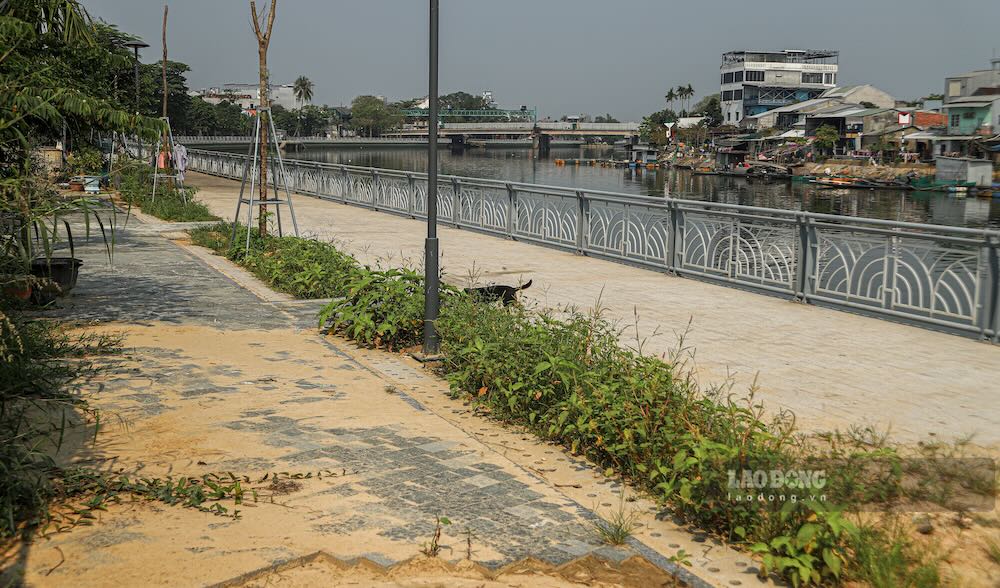 Dù chưa đưa vào khai thác, một số đoạn thuộc tuyến đường đi bộ ven sông Như Ý đã xuất hiện cỏ dại mọc um tùm, rác thải vương vãi, ảnh hưởng đến mỹ quan đô thị.