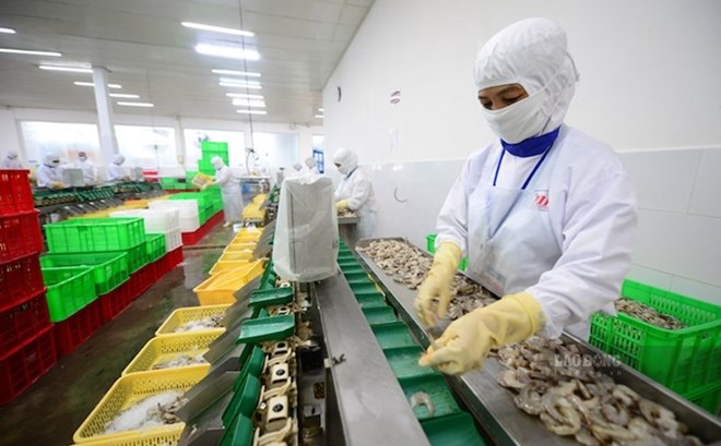 Đặt mục tiêu đưa Việt Nam vào top 3 trung tâm chế biến thủy sản của thế giới