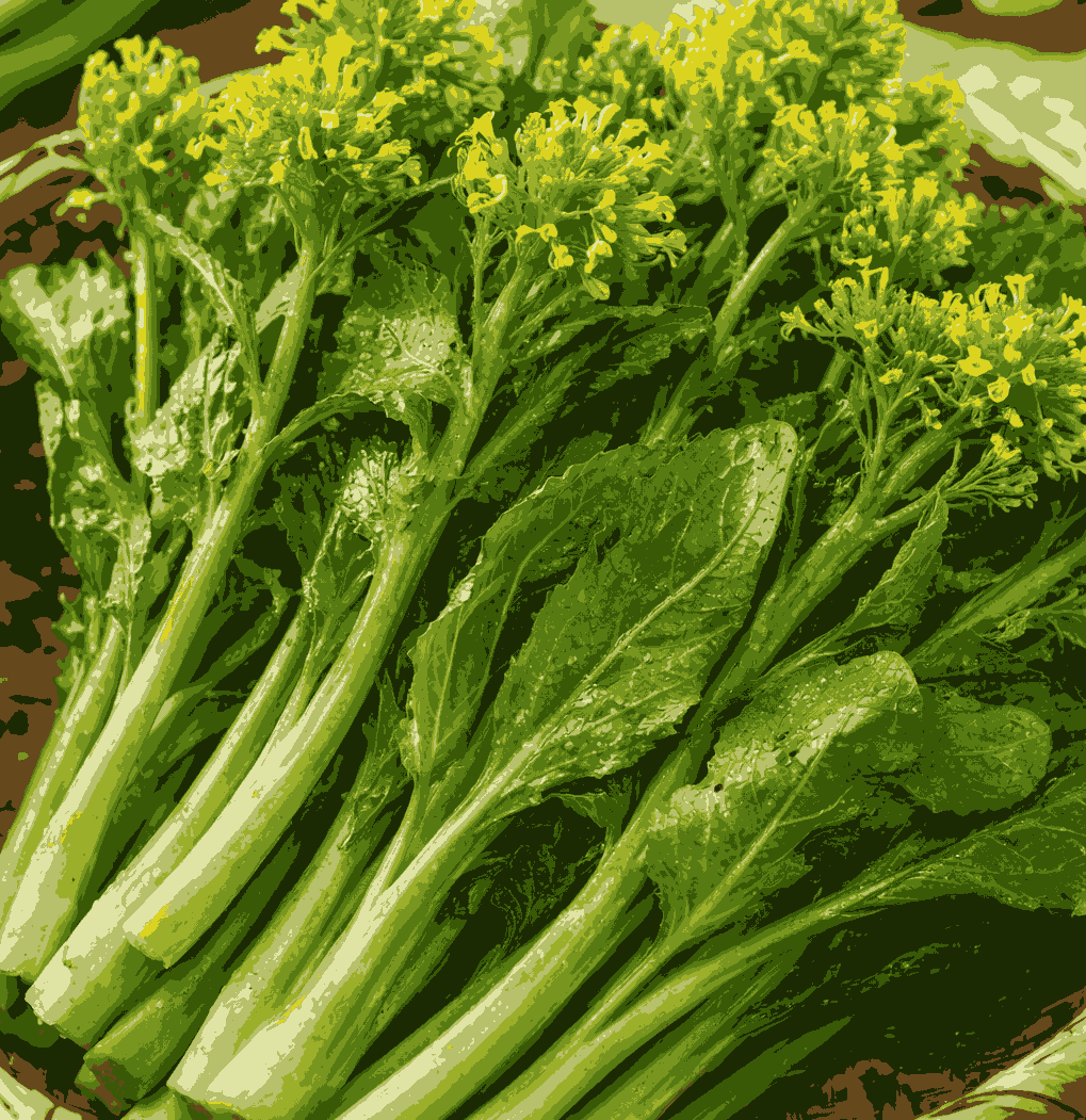 Mustard has the potential to support increased kidney function. Graphic photo: Quang Minh