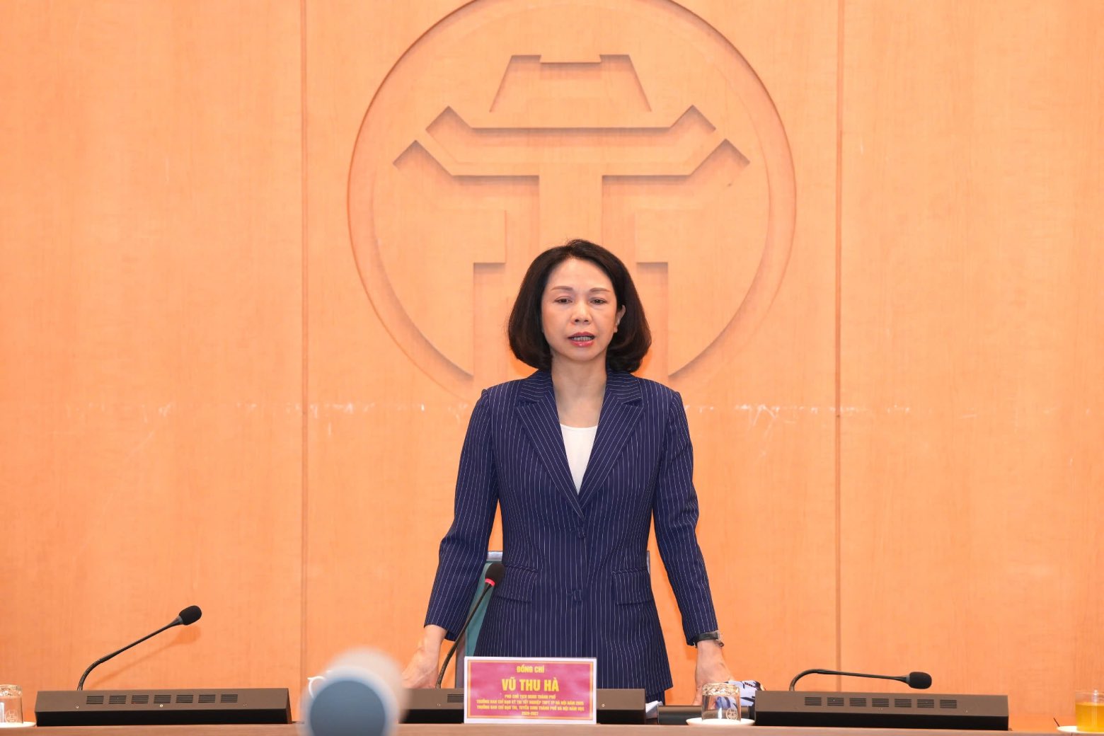 Phó Chủ tịch UBND TP Hà Nội Vũ Thu Hà phát biểu tại cuộc họp. Ảnh: Phạm Linh