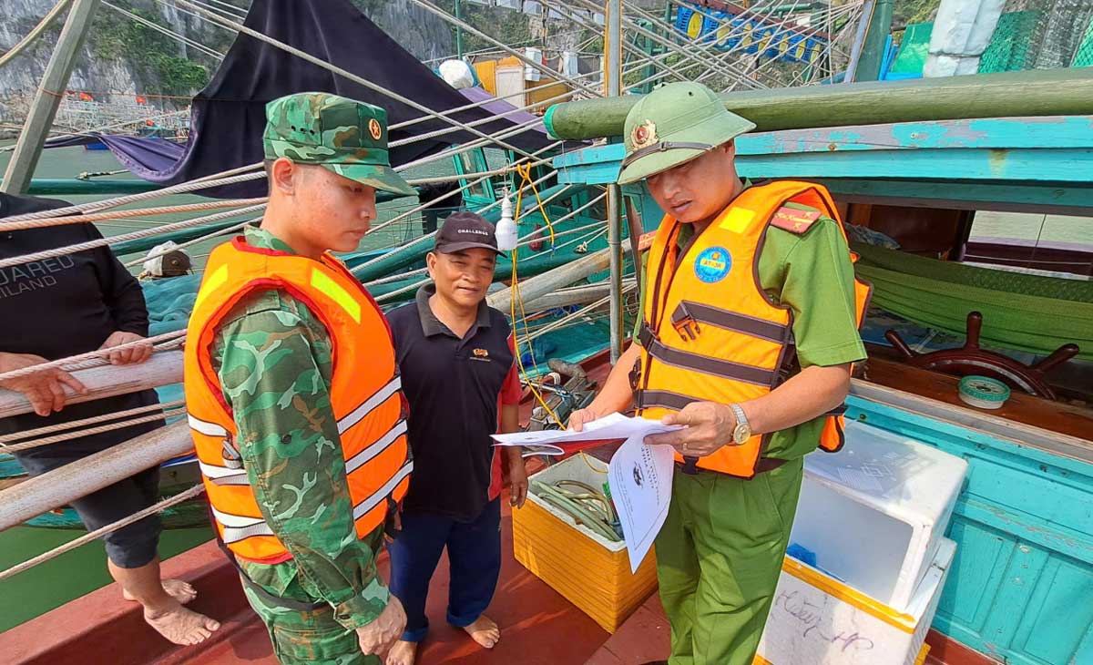 Police and Border Guard forces inspect fishing vessels to ensure compliance with fishing regulations. Photo: Quang Ninh Police