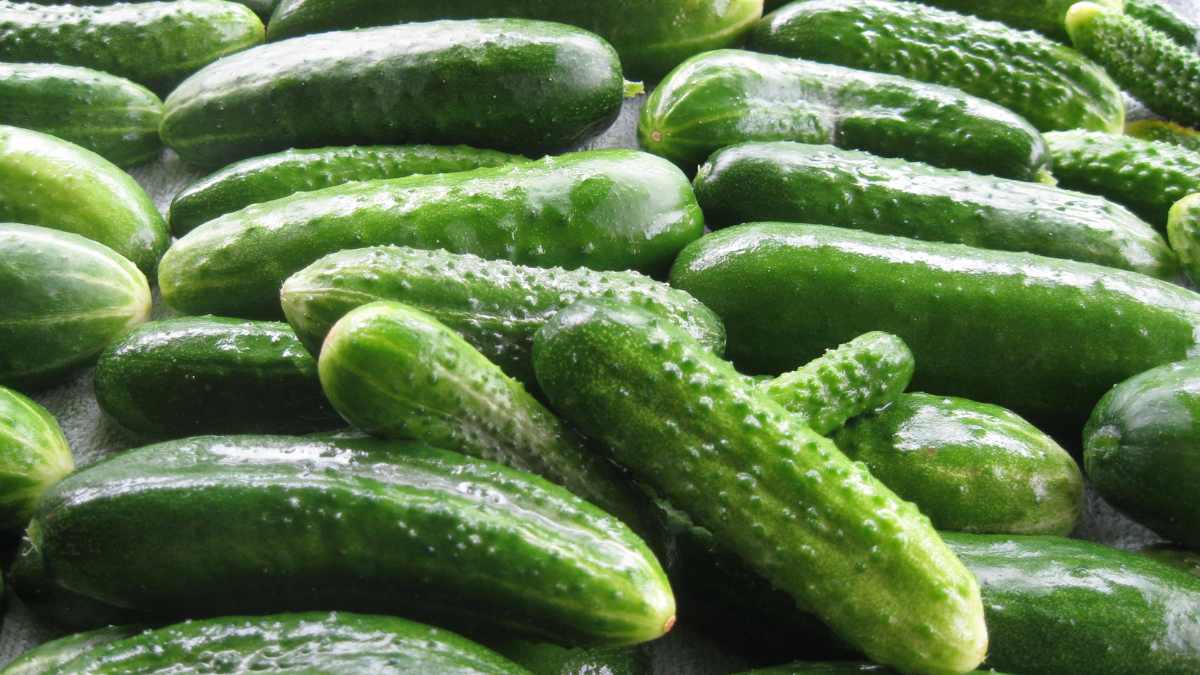 Cucumber juice provides abundant water, helping to support kidney detoxification. Photo: Tra My