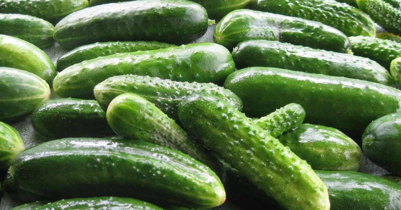 9 loại rau củ quả tốt cho thận nên ăn thường xuyên