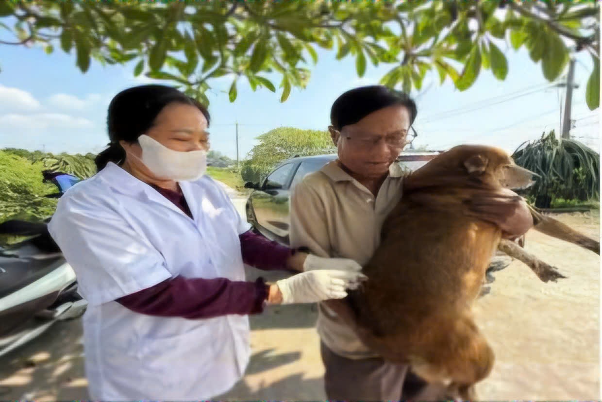 Ngành thú y tỉnh Lâm Đồng chủ động tiêm phòng dại cho chó, mèo. Ảnh: Diệu Hiền 