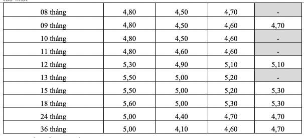 Biểu lãi suất tiết kiệm online của HDBank. Ảnh: HDBank  