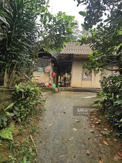 Lối nhỏ trơn trượt dẫn vào nhà chị Nhài