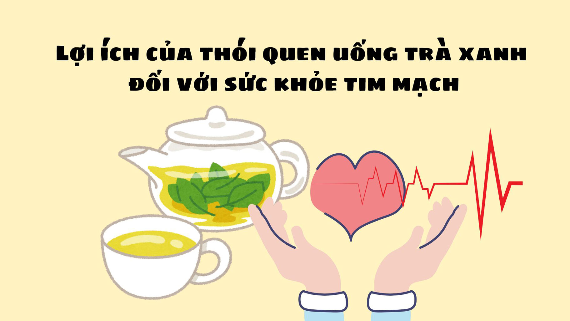 Green tea not only helps detoxify the body but also contributes to protecting a healthy cardiovascular system.