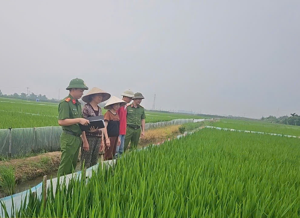 City police propagate to people not to use electric mouse traps. Photo: Hai Phong City Police
