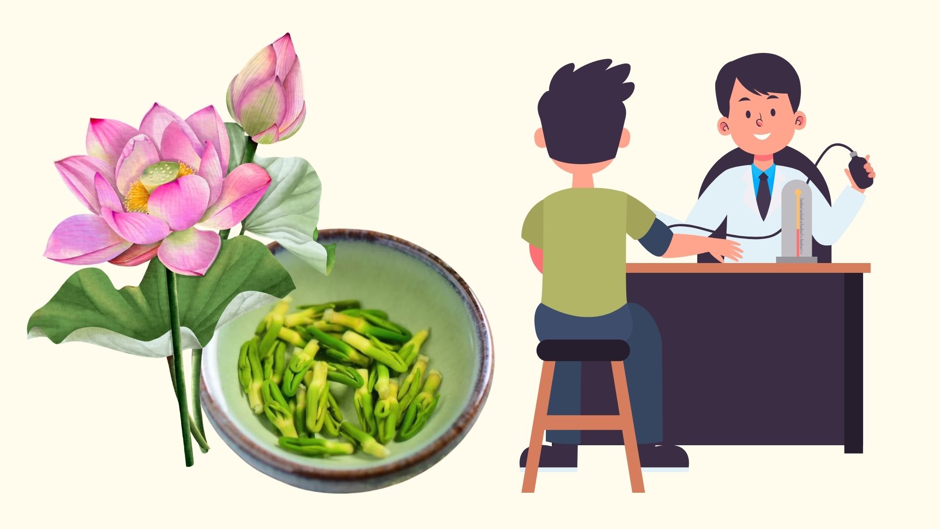 Herbes faciles à trouver qui aident à soulager la tension artérielle. Graphique: Linh Dan