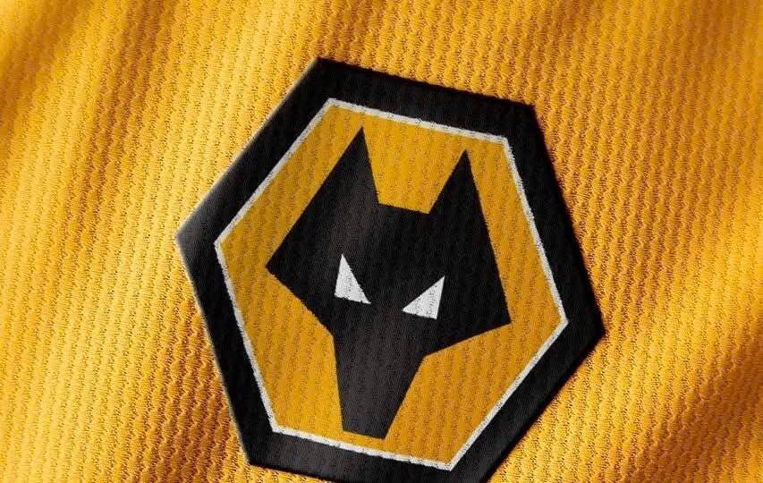 Los lobos no pudieron permanecer en la Premier League.  Foto de : lobos