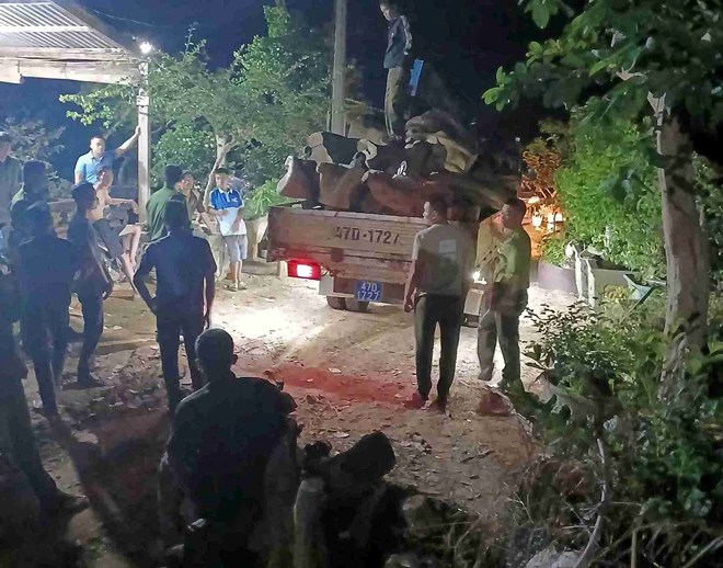 乾季のピーク時に、ダクラク省森林警備隊は、森林法違反の巡回、発見、処理を強化しています。写真:トゥイ・ティエン