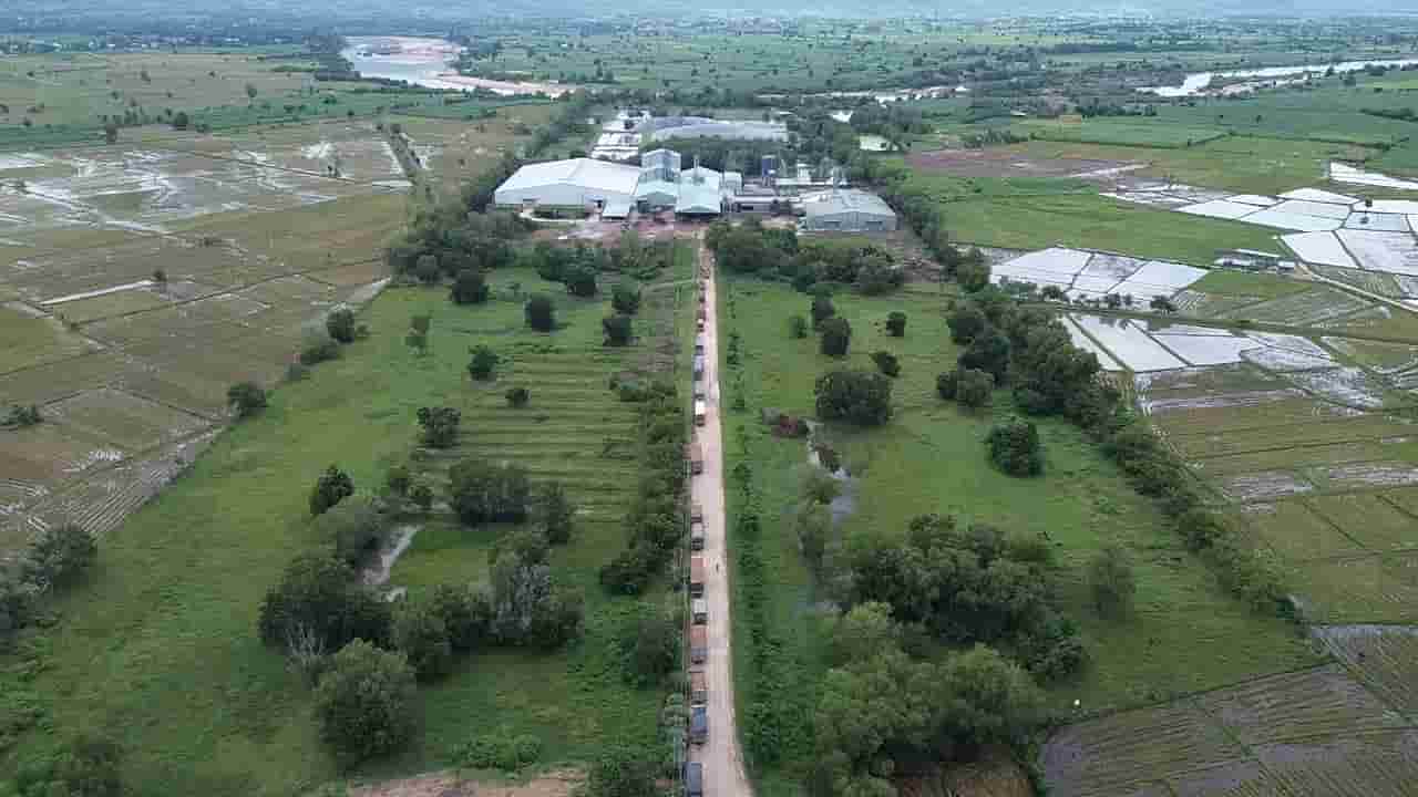 Các nhà máy chế biến tinh bột sắn phải liên kết, thu mua sản phẩm của người dân. Ảnh: Thanh Tuấn 