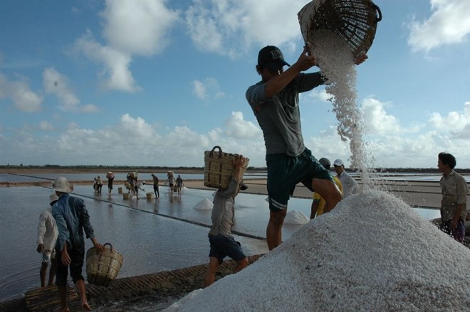 Khanh Hoa province has just decided to adjust nearly 120,000m2 of salt land to aquaculture. Photo: Nhat Ho