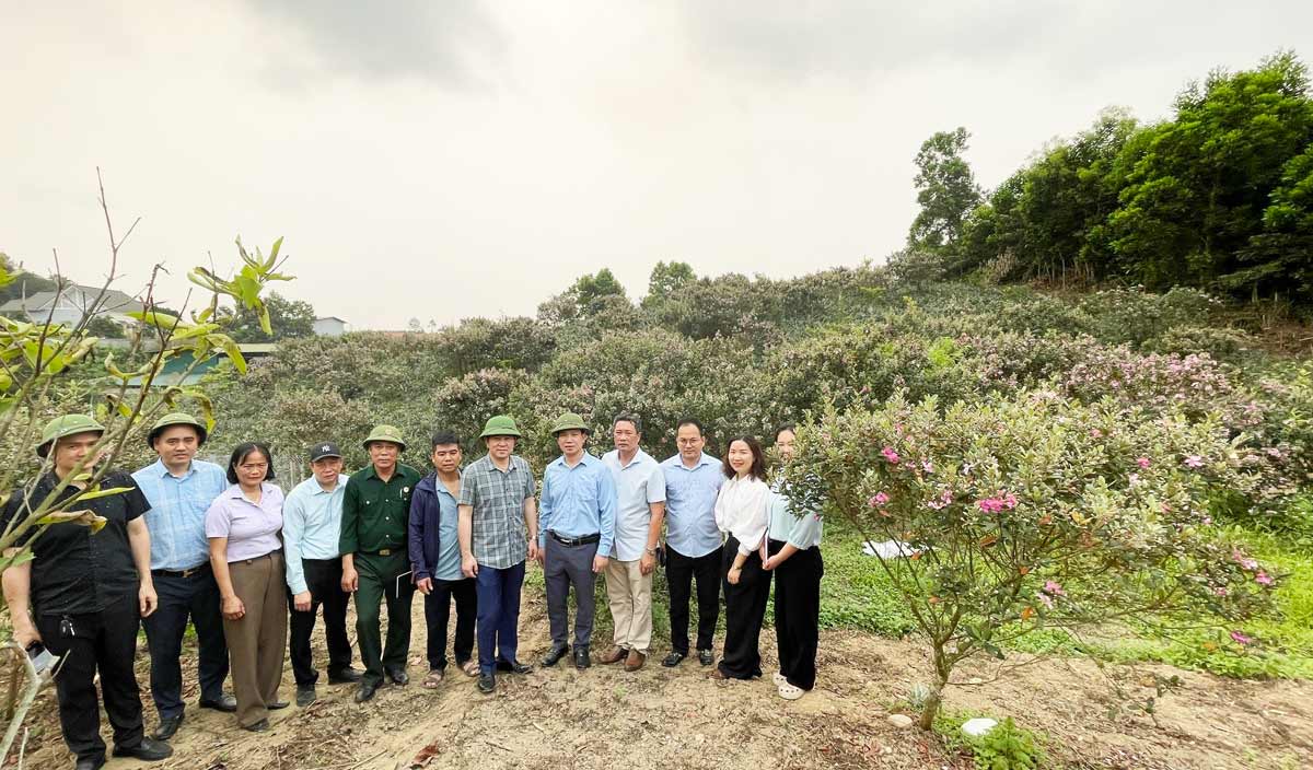 Hai Son commune working group surveys the festival venue. Photo: Quang Ninh