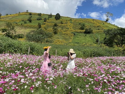 Traditional Rong houses will be built at the foot of the volcano. Photo: Thanh Tuan