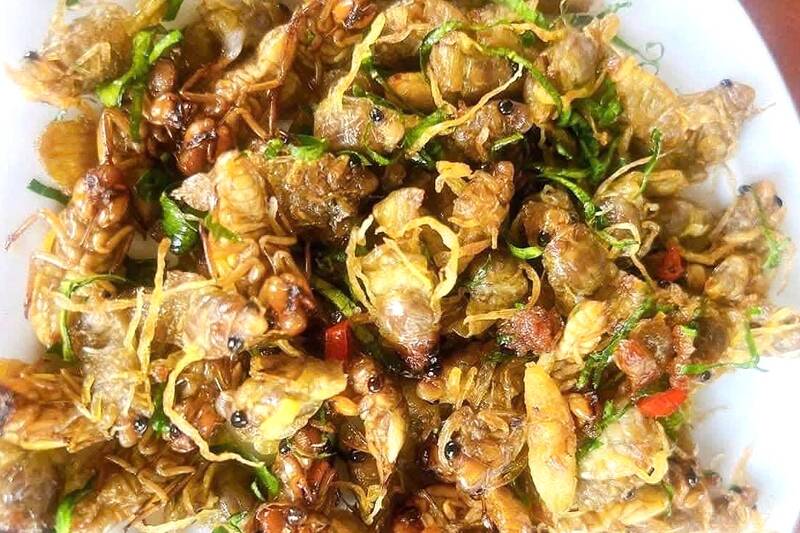 Món ve sữa rang lá chanh là phổ biến và hấp dẫn nhất. Ảnh: Trường Sơn