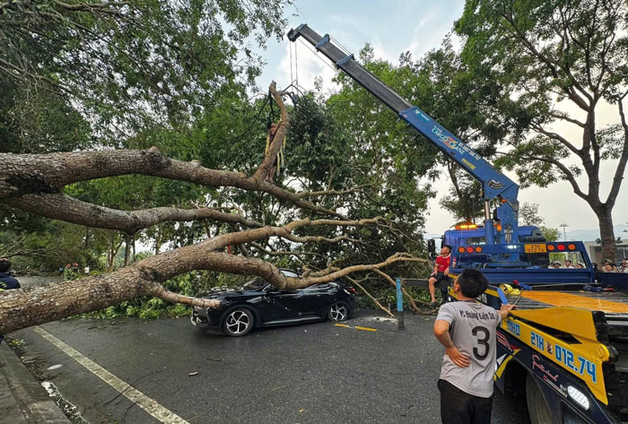 Lực lượng chức năng và người dân khẩn trương khắc phục hậu quả do dông lốc gây ra. Ảnh: Bảo Nguyên 