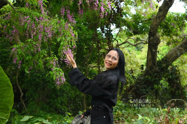 Du khách thích thú check-in dưới những cây hoa thàn mát đang nở rộ. Ảnh: Thanh Huyền