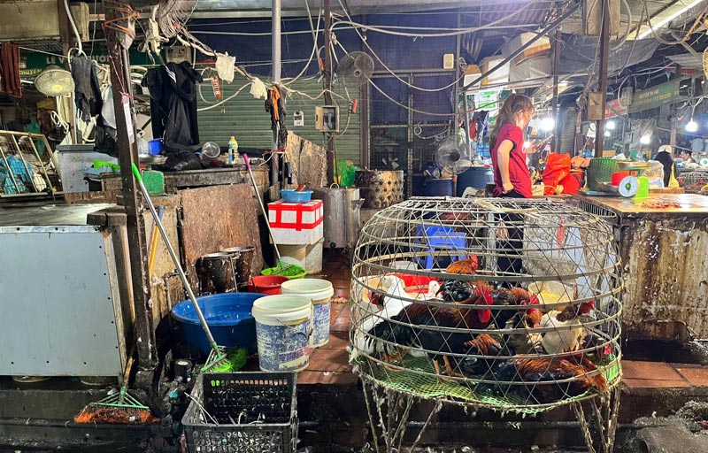 Small-scale slaughtering activities still exist in the middle of the people's market. Photo: Mai Khoi