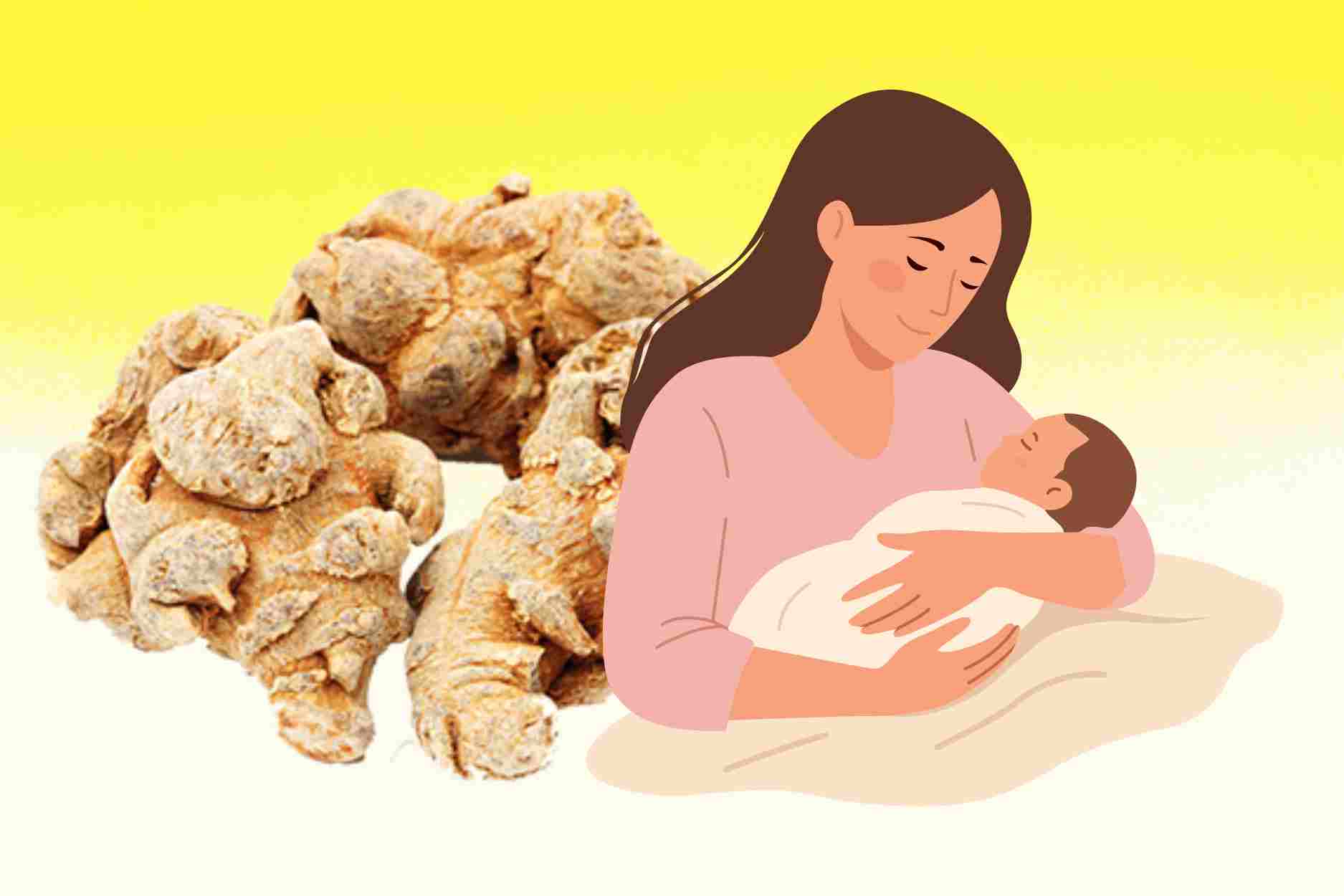 How to use Panax pseudoginseng to nourish beauty, support postpartum health recovery