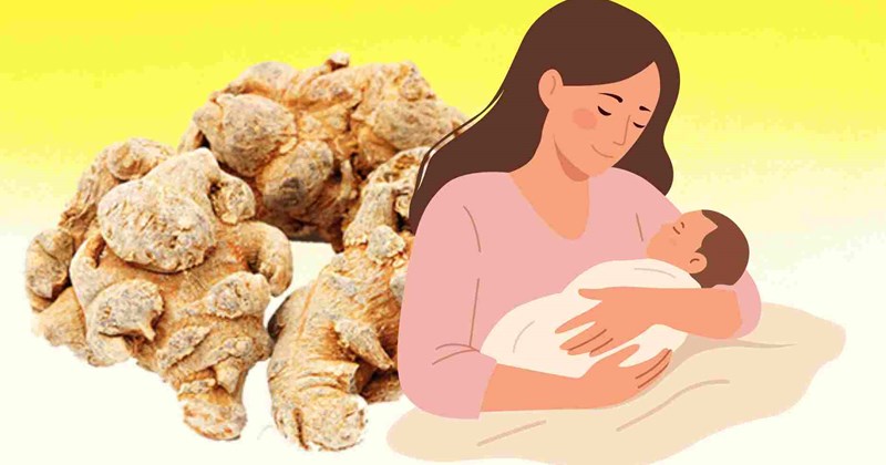 Cách dùng tam thất hỗ trợ làm đẹp, phục hồi sức khỏe sau sinh