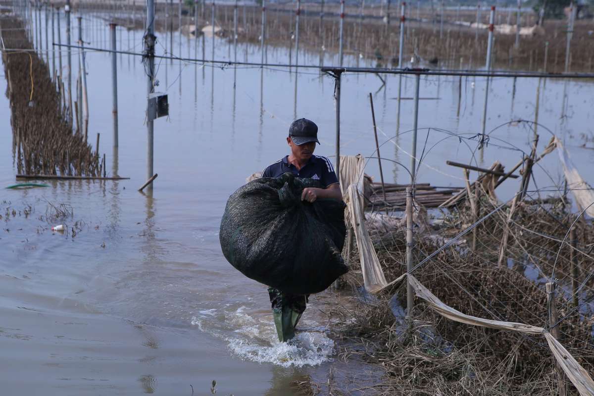ニンビン省人民委員会は、省災害対策基金の支出内容と支出レベルに関する詳細な規定を発行しました。写真:ハ・ヴィ