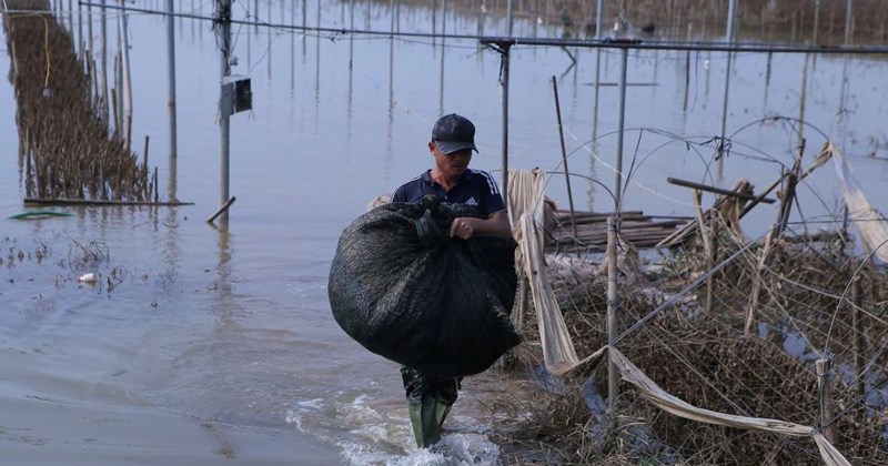 Ninh Bình hỗ trợ đến 60 triệu đồng sửa nhà từ quỹ cứu trợ