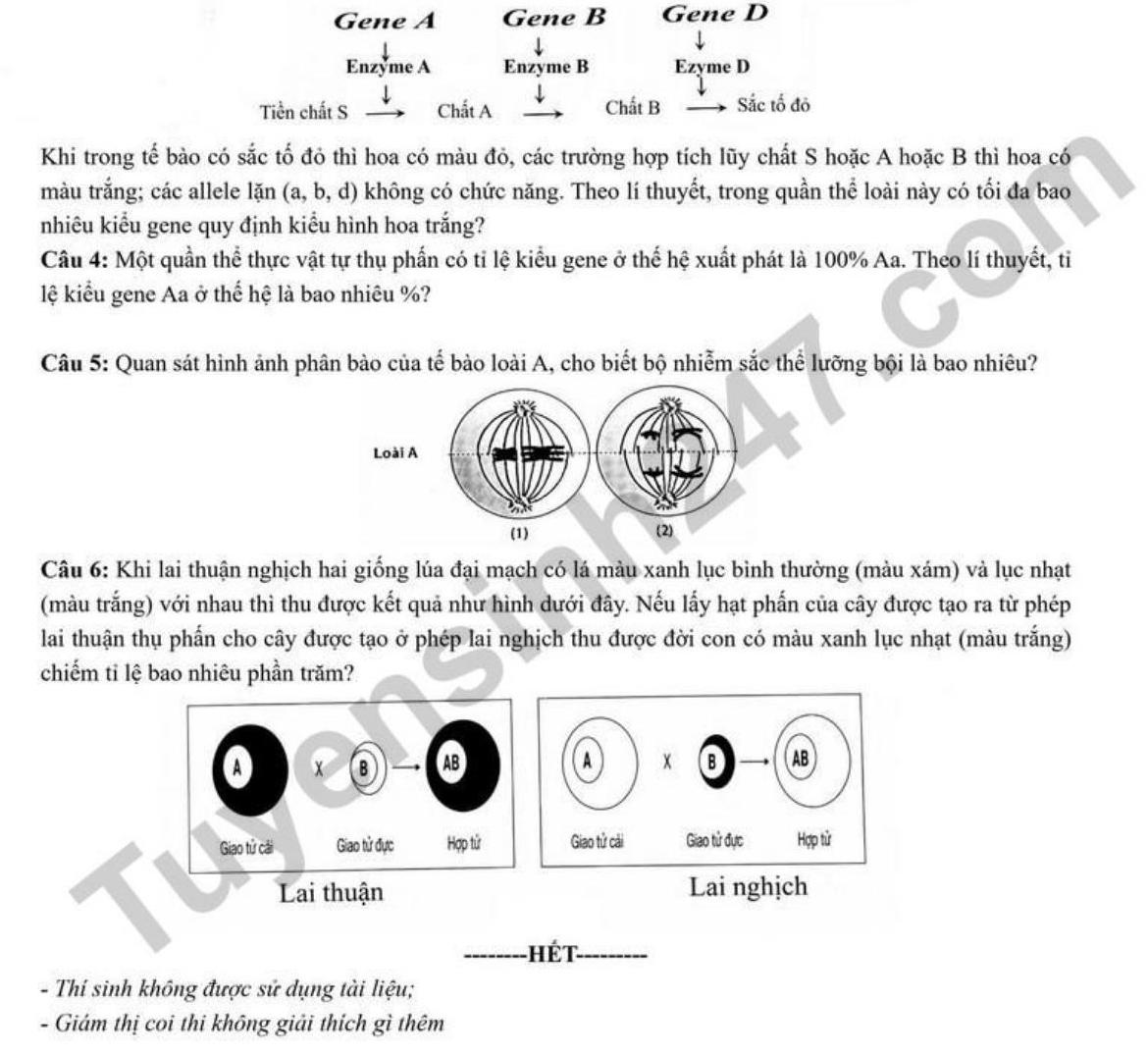 Đề thi thử tốt nghiệp THPT 2026 môn Sinh - Sở GDĐT Lào Cai. Ảnh: Tuyensinh247