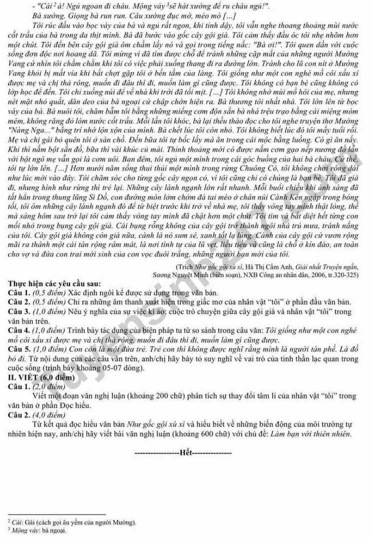 Đề thi thử tốt nghiệp THPT 2026 môn Văn lần 1 Sở GDĐT Lạng Sơn. Ảnh: Tuyensinh247  