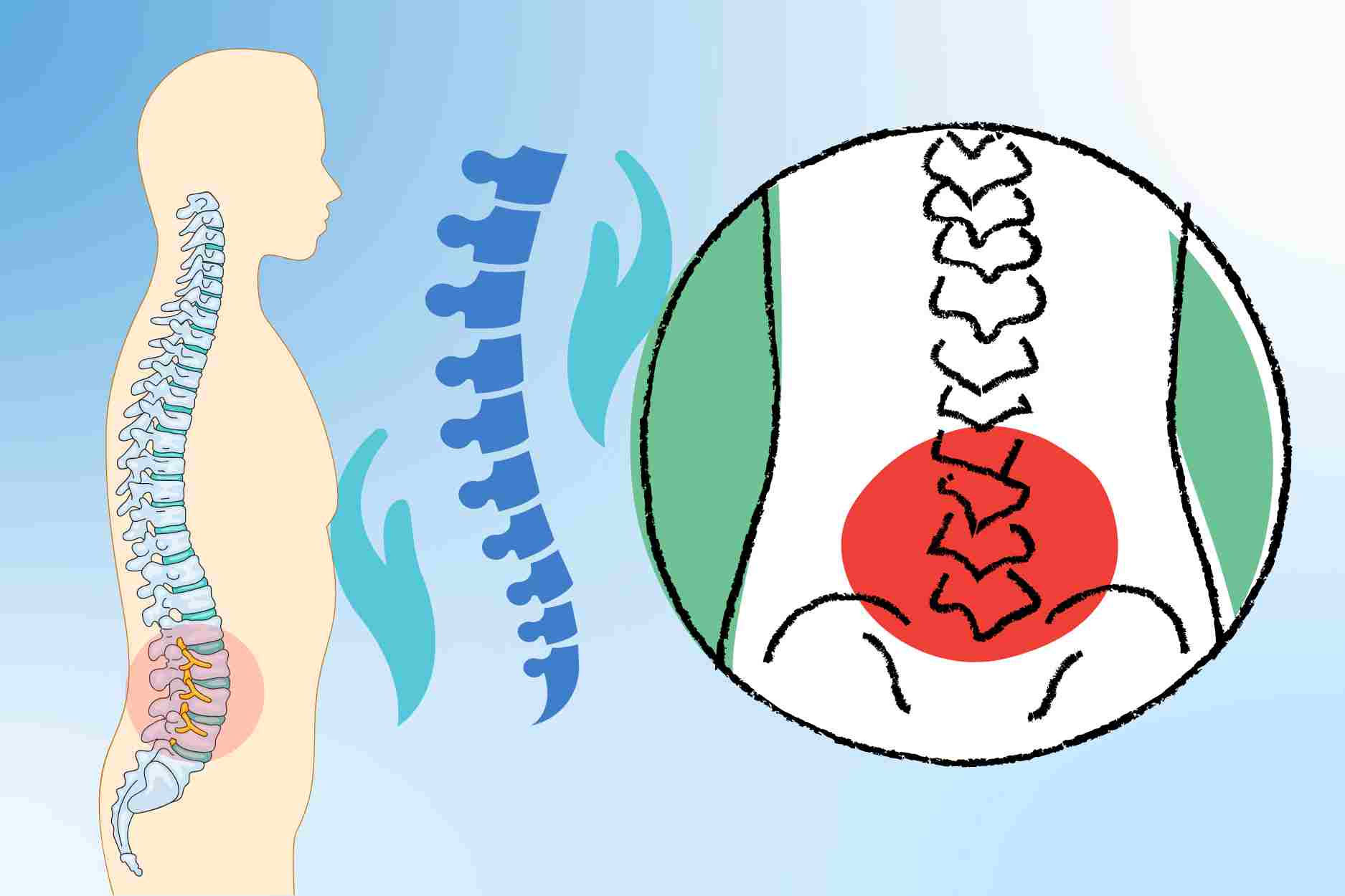 5 habits to help protect the lumbar spine every day